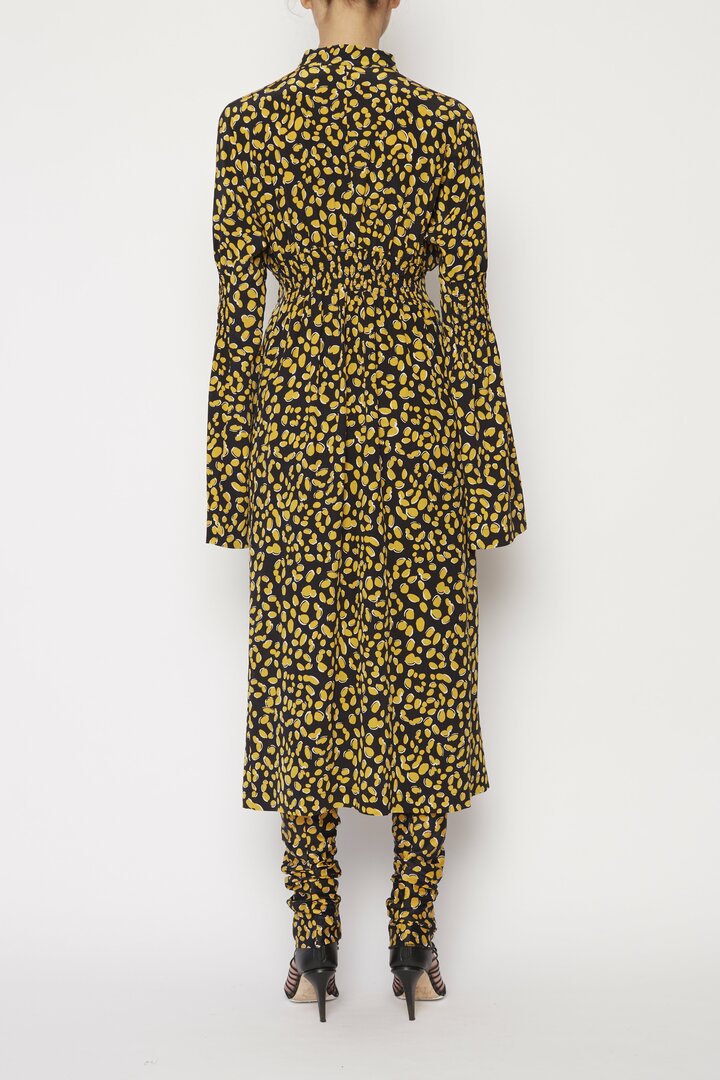 Dandelion Shirred Dress