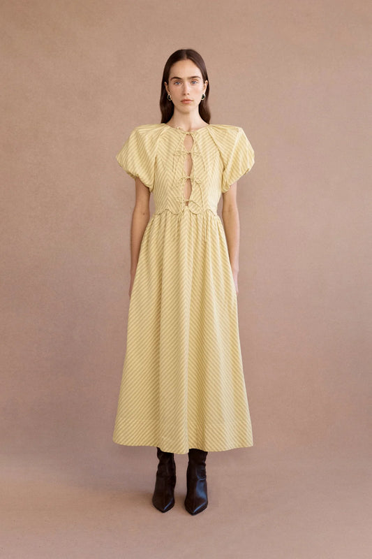 Rose Daffodil