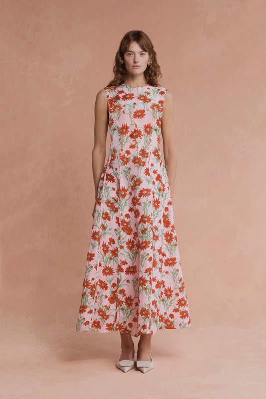 Pollyanna Aster Floral