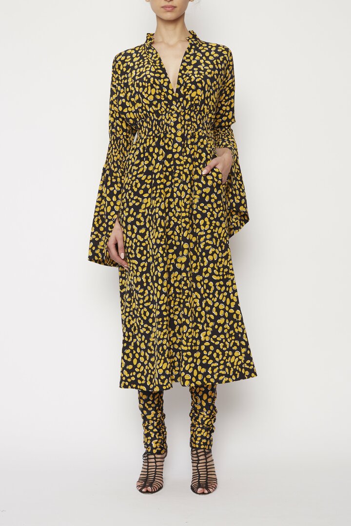 Dandelion Shirred Dress